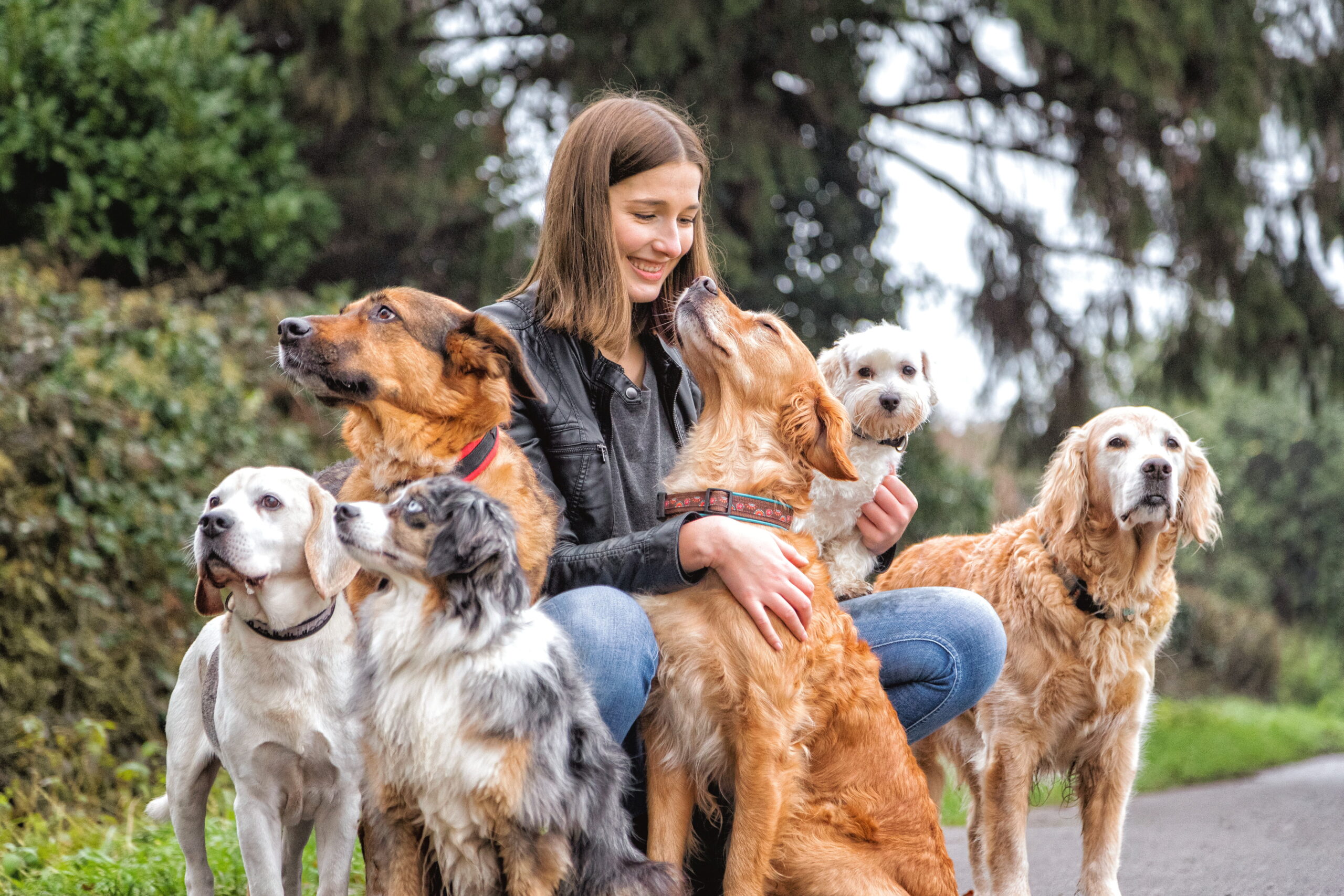 Eine für alle: Die Hunde-Haftpflicht der Uelzener Versicherungen jetzt noch besser und individueller