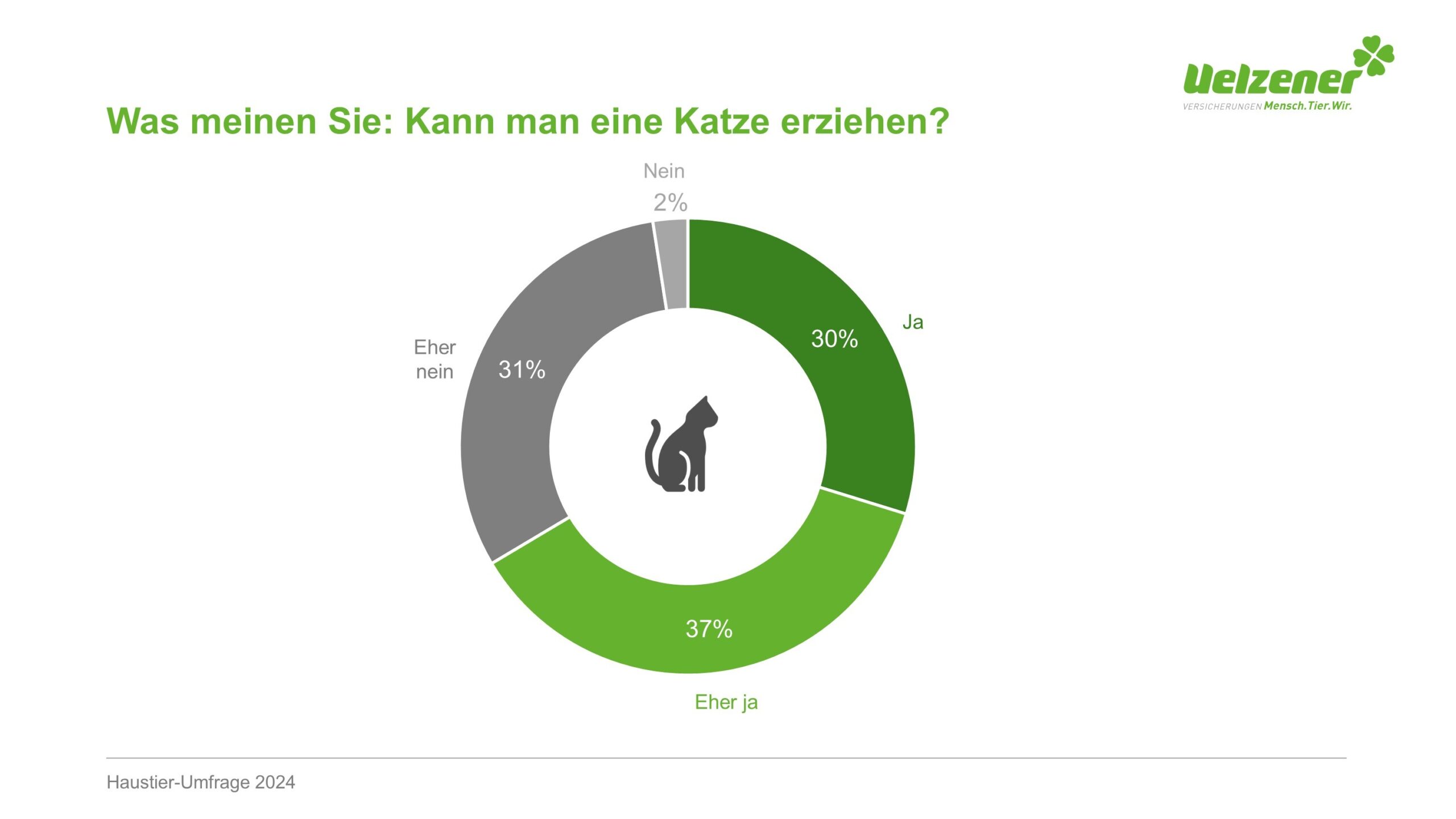 Mythos Katzen: Einzelgänger oder Partner des Menschen?