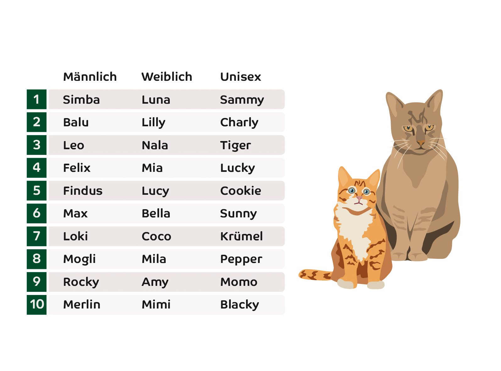 Simba und Schnurrsula auf Samtpfoten: Ranking der beliebtesten und einfallsreichsten Katzennamen in Deutschland