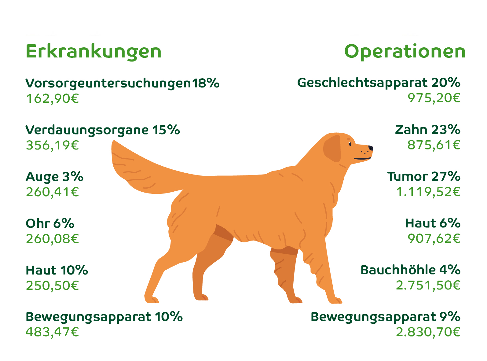Statistik zur Hundegesundheit: Die häufigsten Erkrankungen und Operationen im Überblick