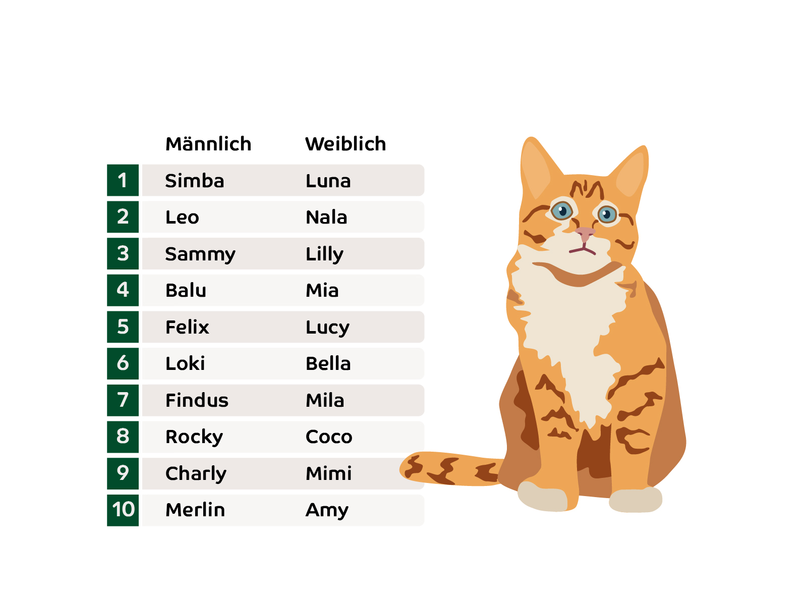 Die beliebtesten Katzennamen Deutschlands: Auf dem Sofa mit den „Löwen” Simba, Leo und Nala